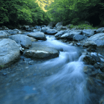 kazuend-cCthPLHmrzI-unsplash Get in Flow