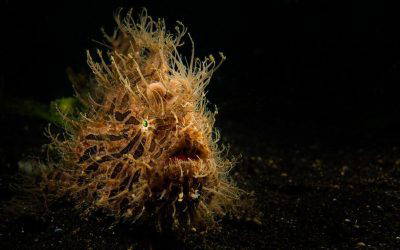 Patience and Positioning