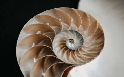 When success stops feeling like progress.