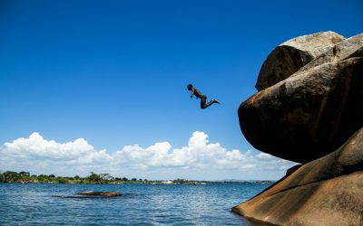 Here’s What’s Next.