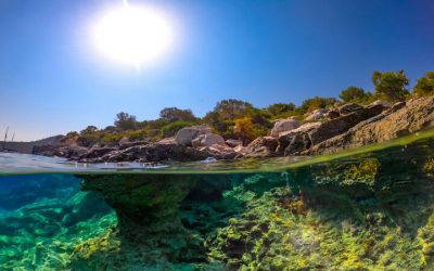 What comes after success?